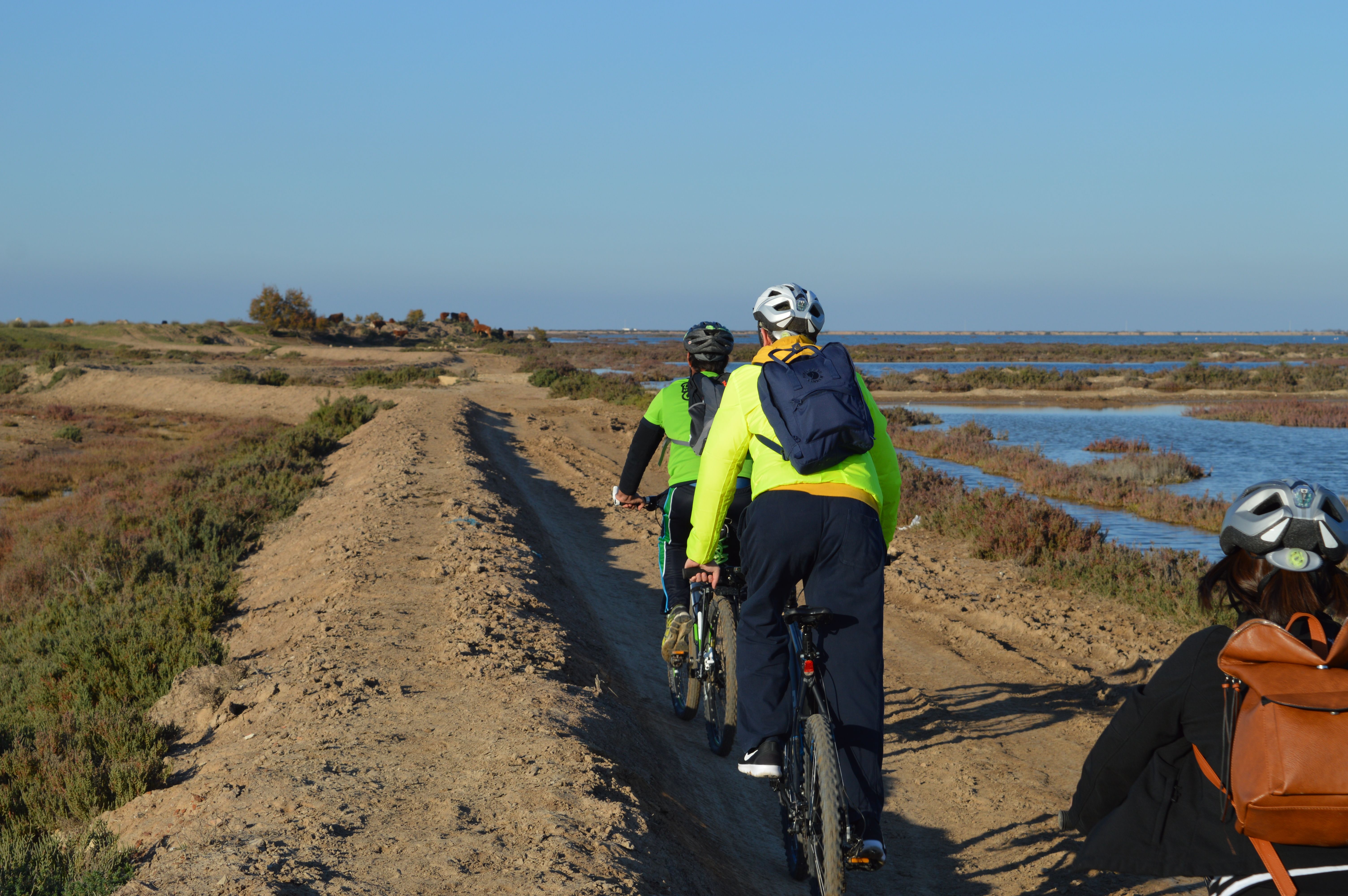 Ruta en bicicleta por las marismas de Doñana en Sanlúcar, Cádiz