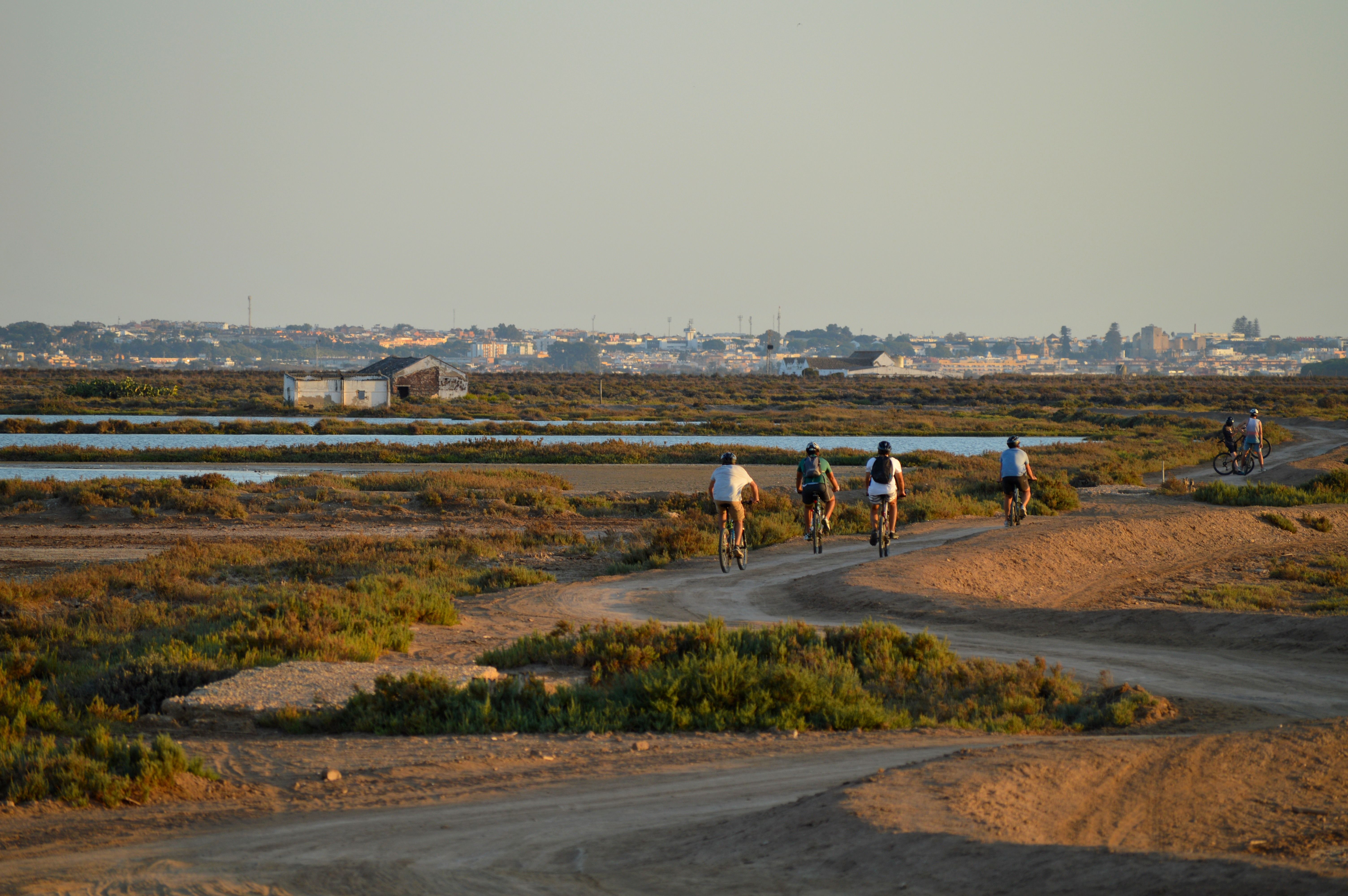 Paseo en bicicleta por las marimas de Doñana en Cádiz