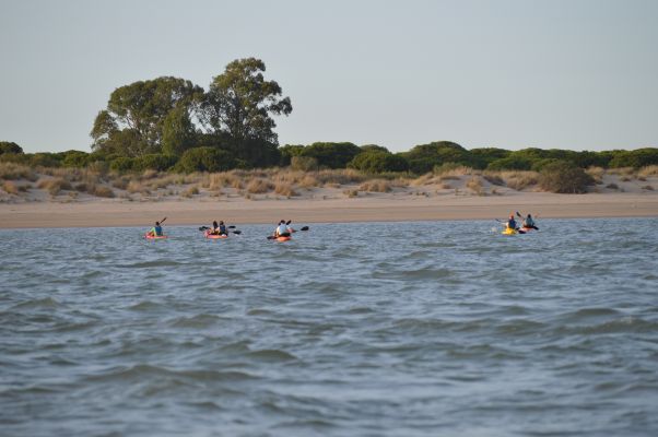Actividad en grupo de kayaks