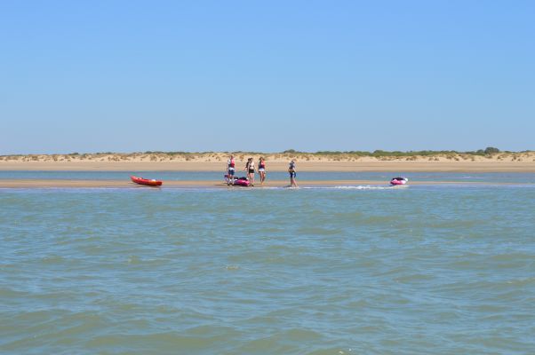 kayaks y aves de fondo en Doñana