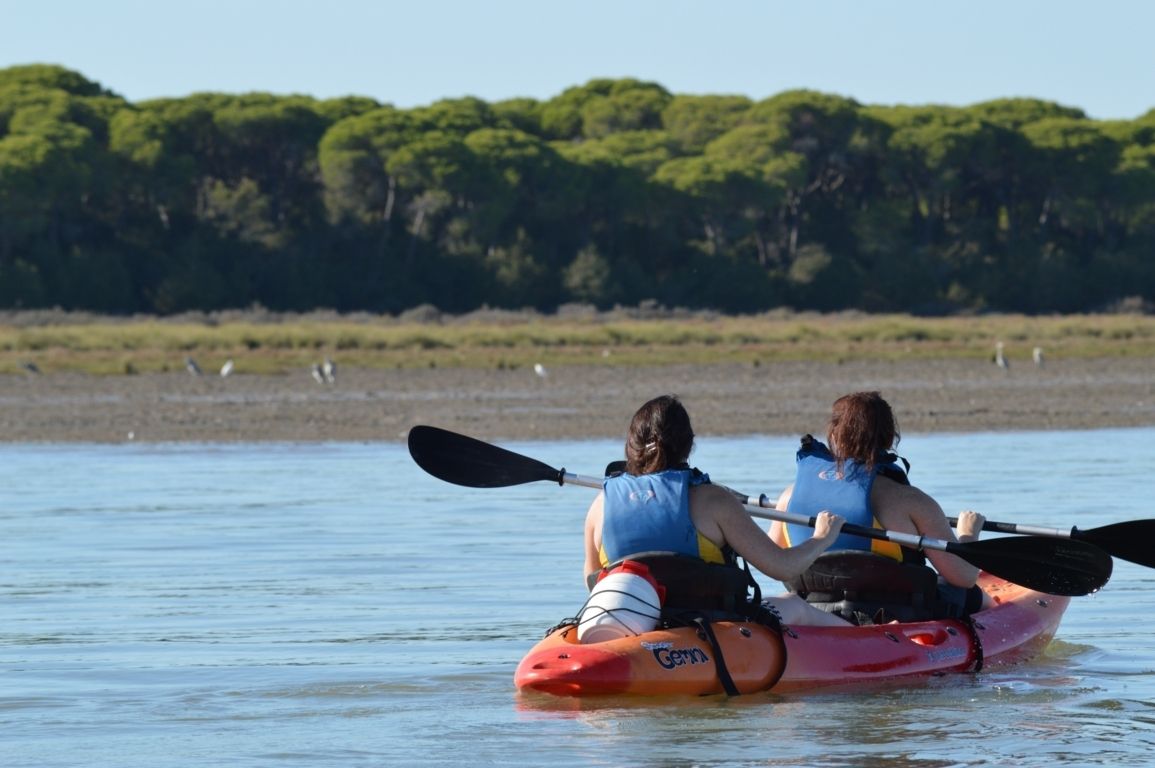 Ruta en kayak con aves en la orilla de Doñana