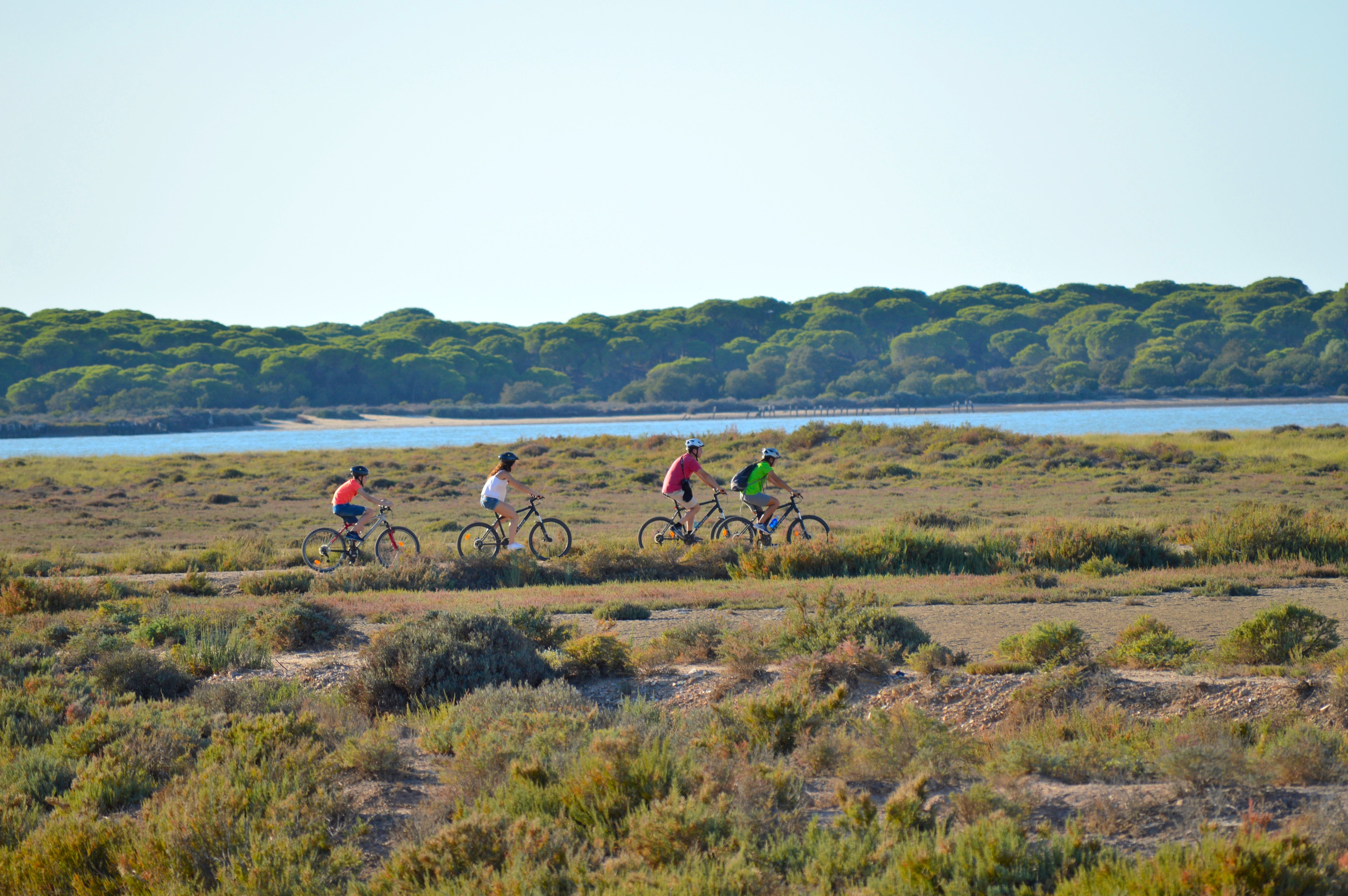 Ruta en bicicleta cercar del Guadalquivir en Cádiz