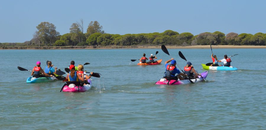 kayaks por la orilla de Doñana