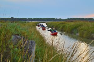 Kayaks dentro de caño en las marismas de Doñana