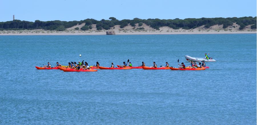 Actividad para escolares playa