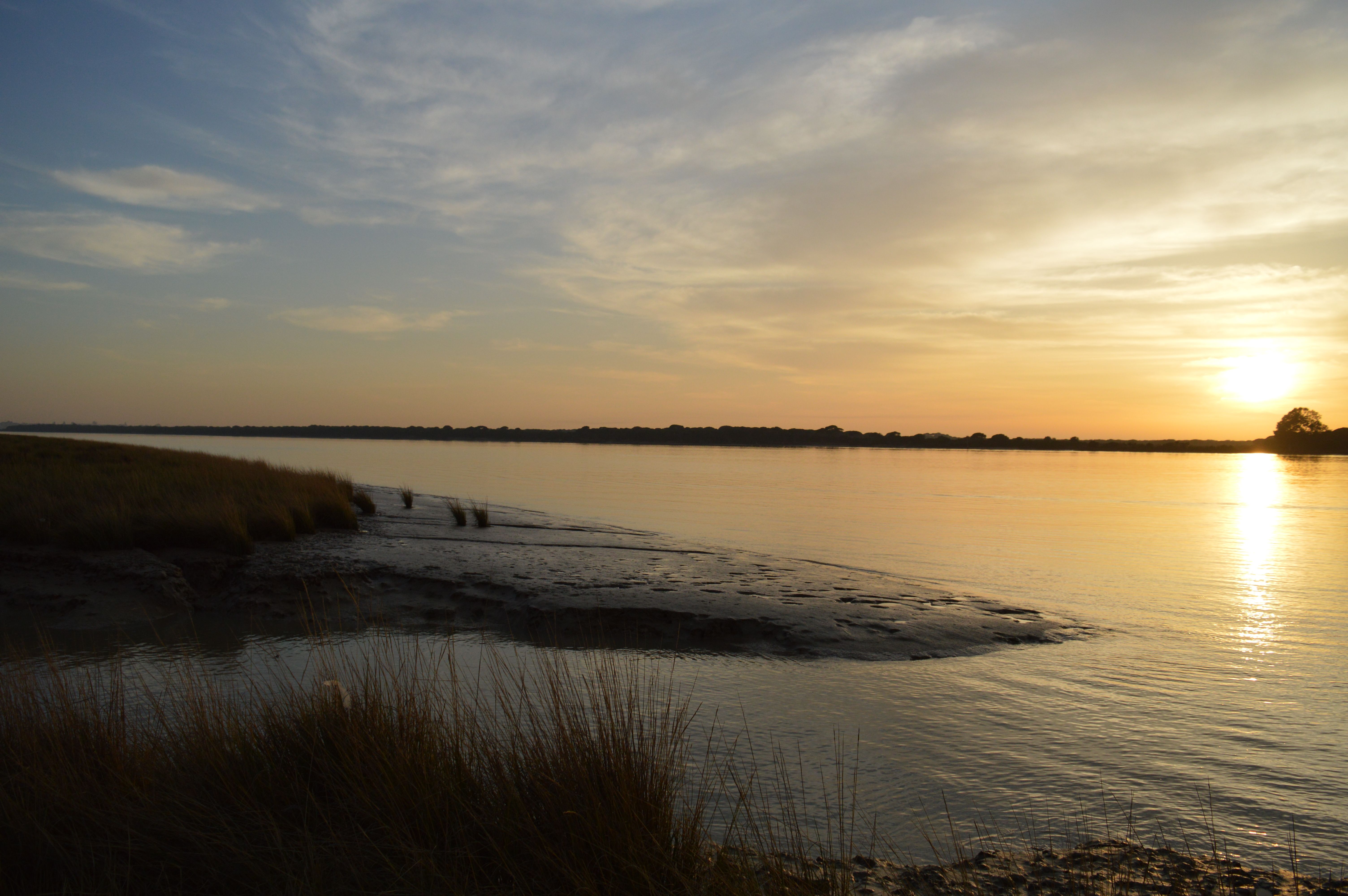 Visita a Doñana en el atardecer con el Guadalquivir