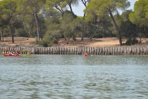 Kayaks dentro de caño en las marismas de Doñana