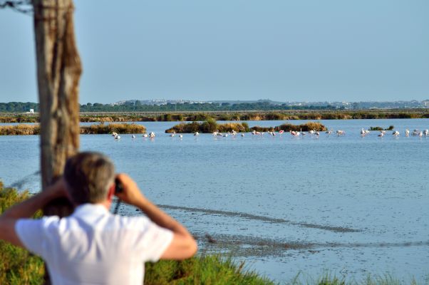 ruta ornitologica por doñana en sanlucar