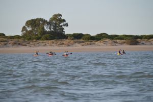 Curso de kayaks en Sanlúcar 
