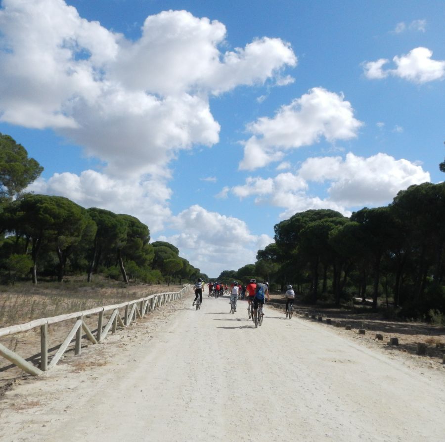 Aventura en Doñana para escolares Sanlúcar