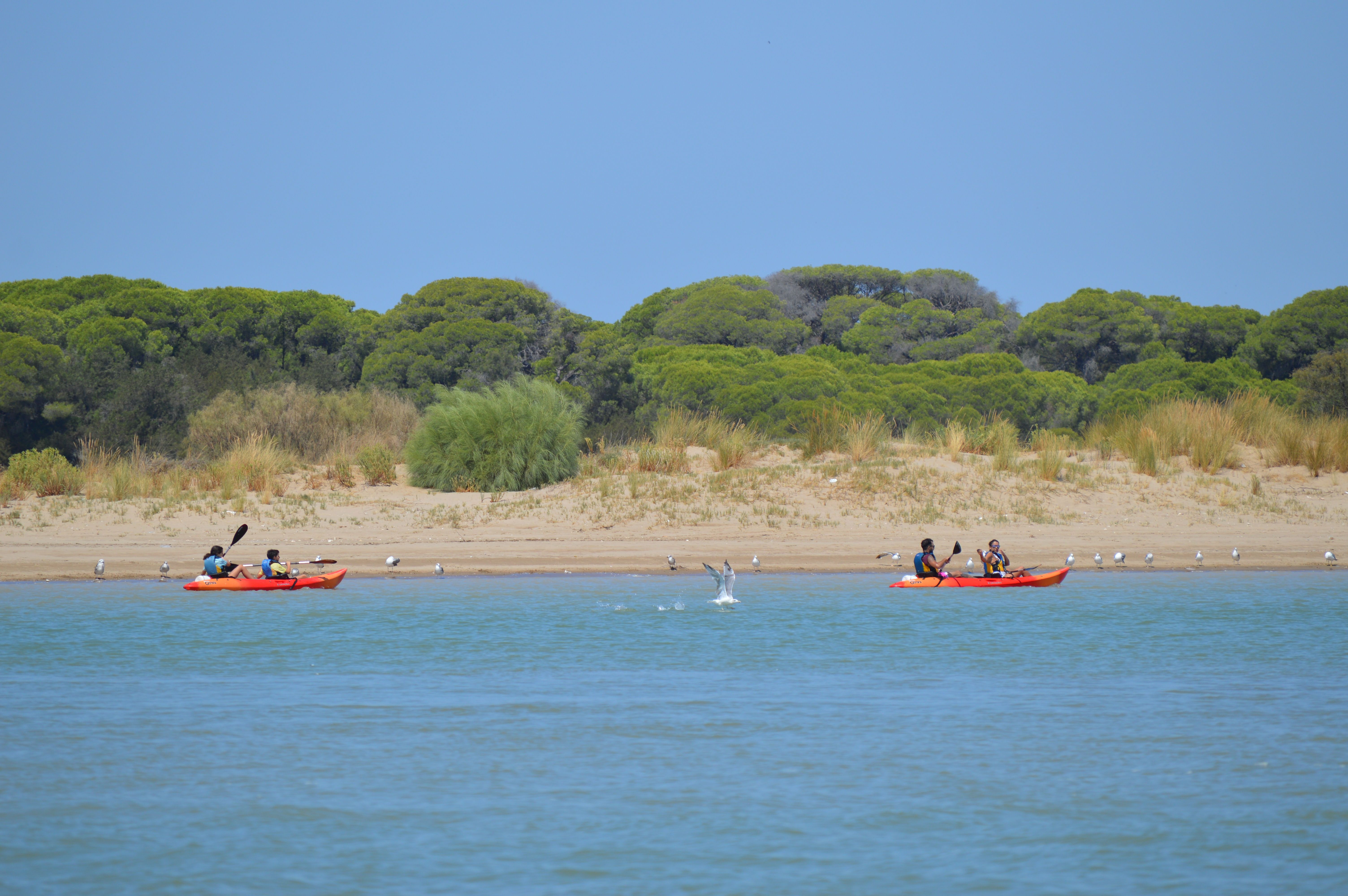 Ruta en kaya por el Guadalquir en Sanlúcar