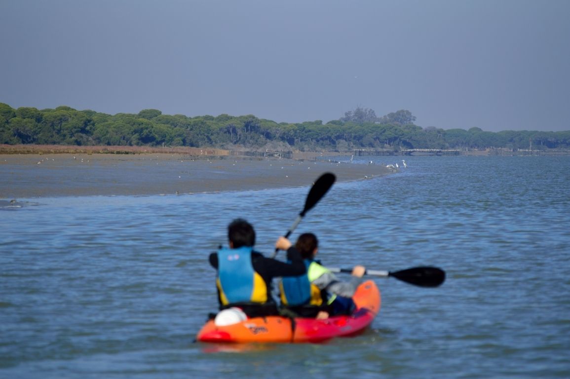Ruta en kayak desde Sanlúcar por la orilla de Doñana