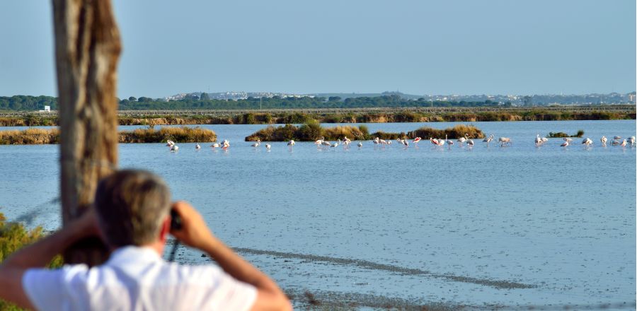 ruta ornitologica por doñana en sanlucar