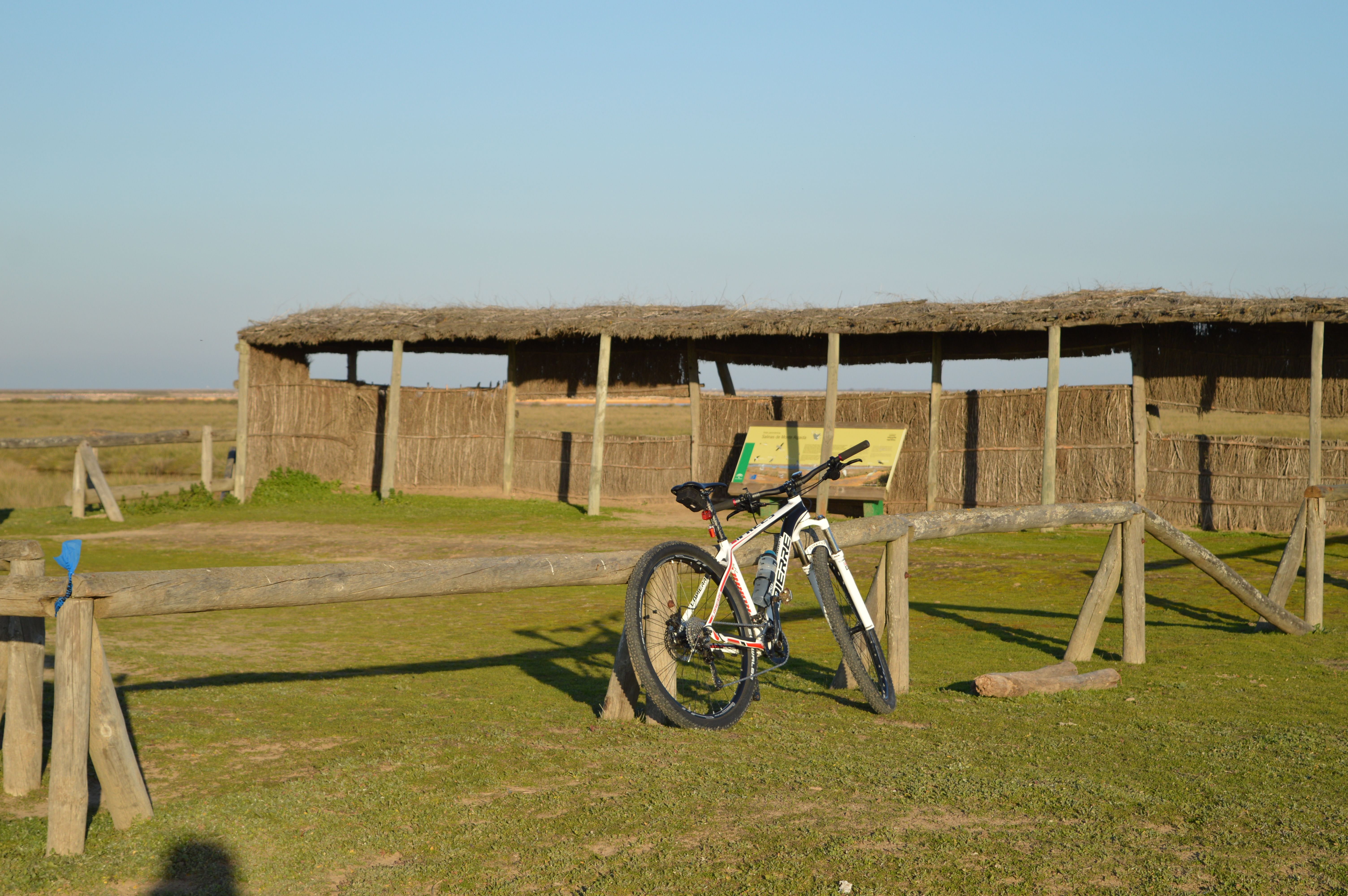 Observatorio de las marismas en la ruta en bicileta por Doñana