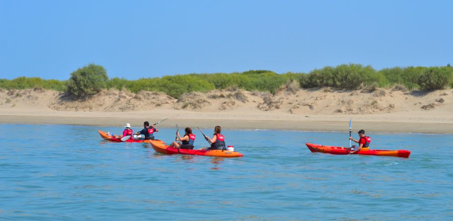 Ruta en kayak sanlucar cadiz