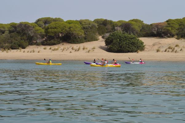 Kayak y Doñana de Fondo