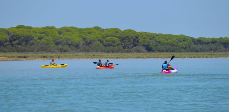 Ruta en kayak sanlucar cadiz